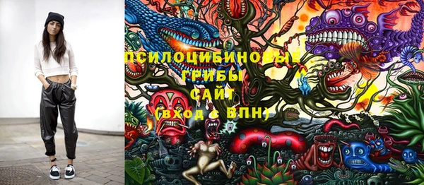 крисы Алексин