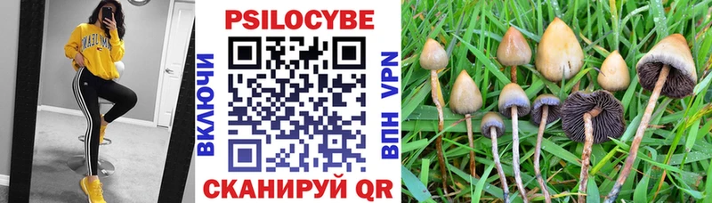 Галлюциногенные грибы MAGIC MUSHROOMS  Гвардейск 